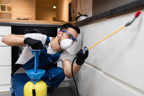Best Ant Control Services  in Ocean Pointe, HI