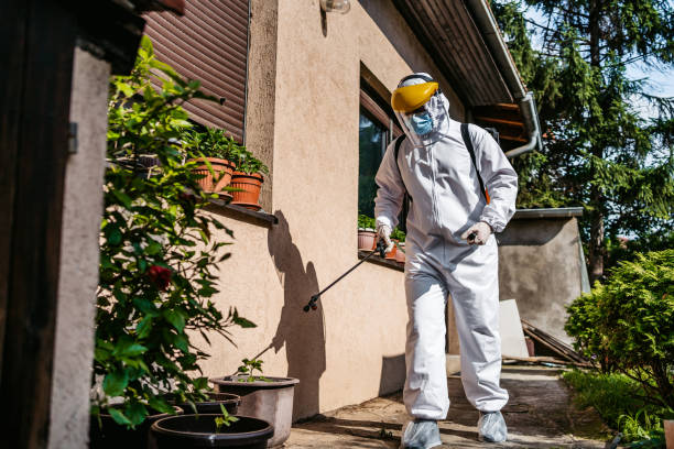 Spider Control Near Me in Ocean Pointe, HI