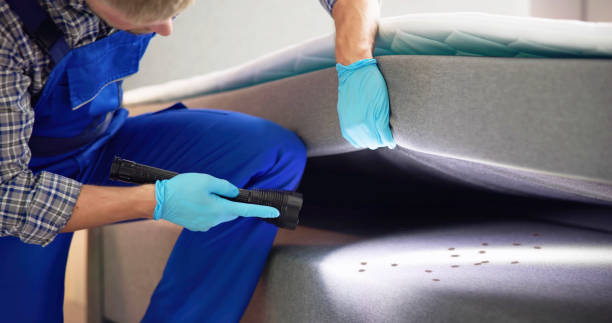 Best Wasp Removal Services  in Ocean Pointe, HI